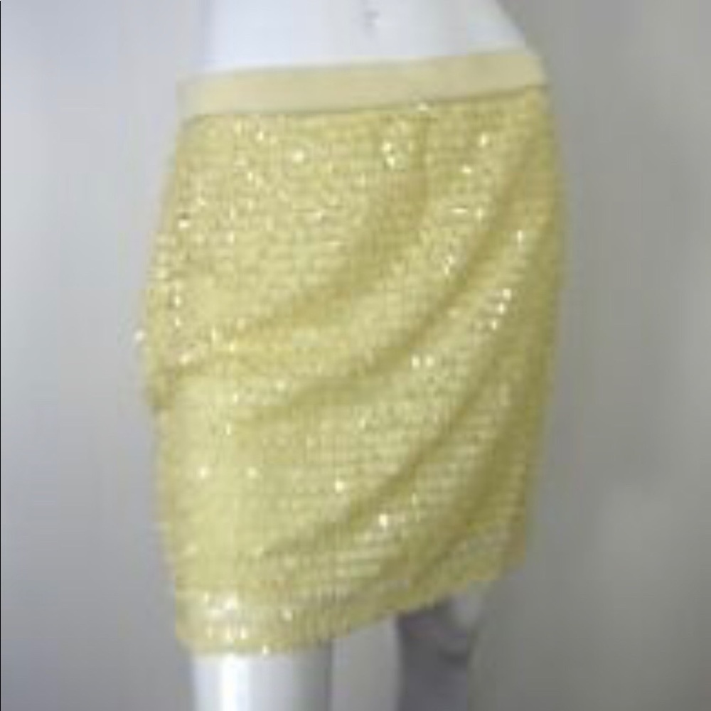 Brand new sequin skirt